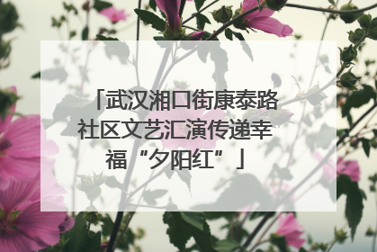 武汉湘口街康泰路社区文艺汇演传递幸福“夕阳红”