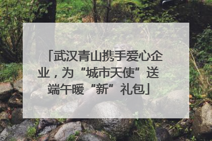 武汉青山携手爱心企业，为“城市天使”送端午暖“新”礼包