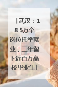 武汉：18.5万个岗位托举就业，三年留下近百万高校毕业生