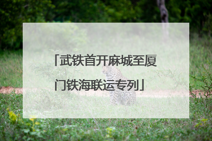 武铁首开麻城至厦门铁海联运专列