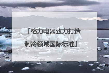 格力电器致力打造制冷领域国际标准