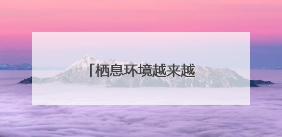 栖息环境越来越好 多种夏候鸟陆续来厦恋爱生娃