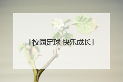 校园足球 快乐成长