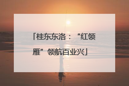 桂东东洛：“红领雁”领航百业兴