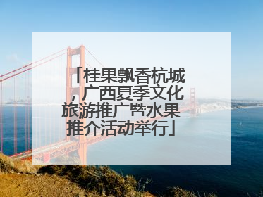 桂果飘香杭城，广西夏季文化旅游推广暨水果推介活动举行