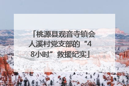 桃源县观音寺镇会人溪村党支部的“48小时”救援纪实