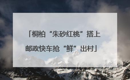 桐柏“朱砂红桃”搭上邮政快车抢“鲜”出村