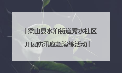 梁山县水泊街道秀水社区开展防汛应急演练活动