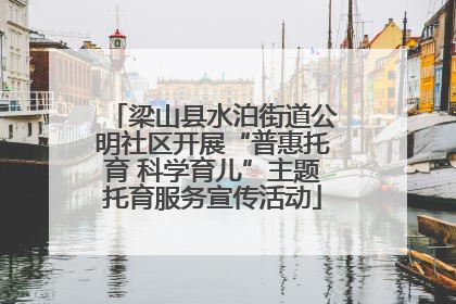 梁山县水泊街道公明社区开展“普惠托育 科学育儿”主题托育服务宣传活动