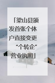 梁山县颁发首张个体户直接变更“个转企”营业执照