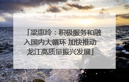 梁惠玲：积极服务和融入国内大循环 加快推动龙江高质量振兴发展
