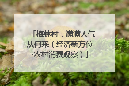 梅林村，满满人气从何来（经济新方位·农村消费观察）