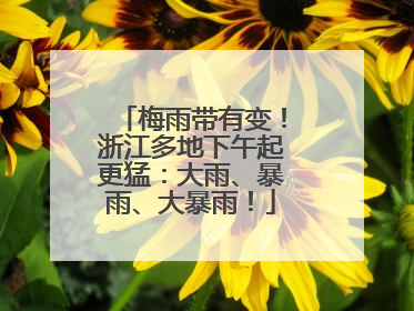 梅雨带有变！浙江多地下午起更猛：大雨、暴雨、大暴雨！