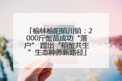 榆林榆阳镇川镇：2000斤蟹苗成功“落户” 蹚出“稻蟹共生”生态种养新路径