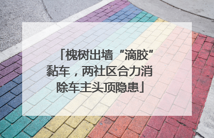 槐树出墙“滴胶”黏车，两社区合力消除车主头顶隐患