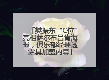 樊振东“C位”亮相萨尔布吕肯海报，俱乐部经理透露其加盟内幕