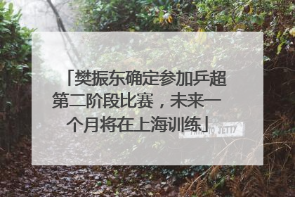 樊振东确定参加乒超第二阶段比赛，未来一个月将在上海训练