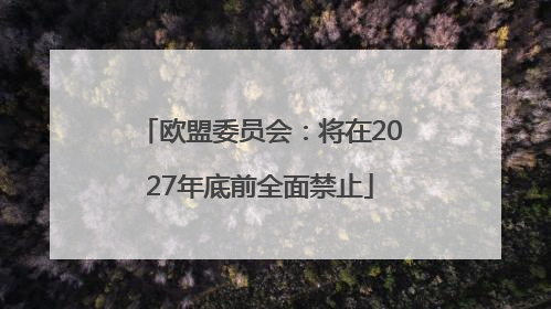 欧盟委员会：将在2027年底前全面禁止