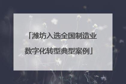 潍坊入选全国制造业数字化转型典型案例