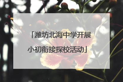 潍坊北海中学开展小初衔接探校活动