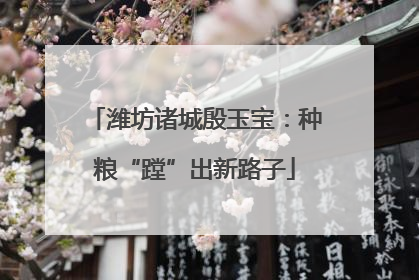 潍坊诸城殷玉宝：种粮“蹚”出新路子