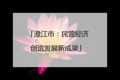 澄江市：民营经济创造发展新成果