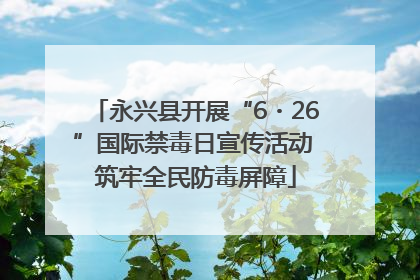 永兴县开展“6・26”国际禁毒日宣传活动 筑牢全民防毒屏障