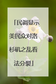 民调显示美民众对洛杉矶之乱看法分裂