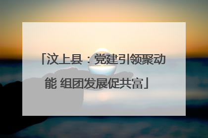汶上县：党建引领聚动能 组团发展促共富