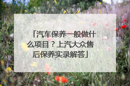 汽车保养一般做什么项目？上汽大众售后保养实录解答