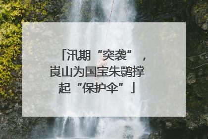 汛期“突袭”，崀山为国宝朱鹮撑起“保护伞”