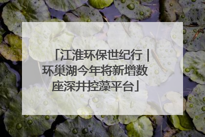 江淮环保世纪行｜环巢湖今年将新增数座深井控藻平台