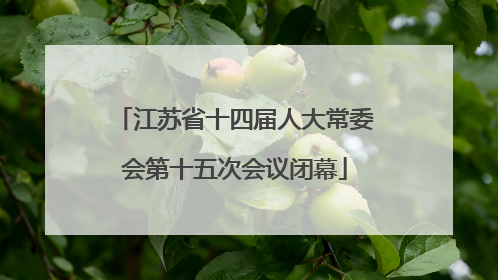 江苏省十四届人大常委会第十五次会议闭幕