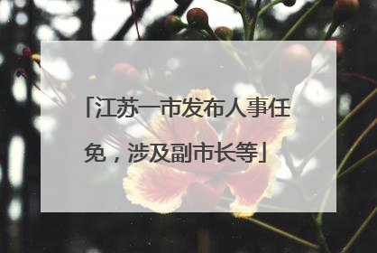 江苏一市发布人事任免，涉及副市长等