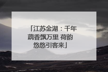 江苏金湖：千年藕香飘万里 荷韵悠悠引客来