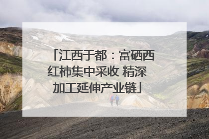江西于都：富硒西红柿集中采收 精深加工延伸产业链