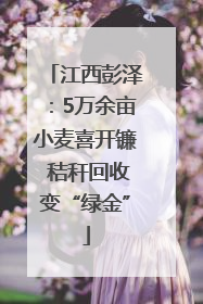 江西彭泽：5万余亩小麦喜开镰 秸秆回收变“绿金”