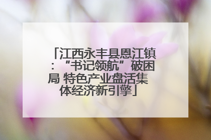 江西永丰县恩江镇：“书记领航”破困局 特色产业盘活集体经济新引擎