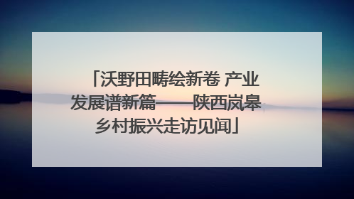 沃野田畴绘新卷 产业发展谱新篇——陕西岚皋乡村振兴走访见闻