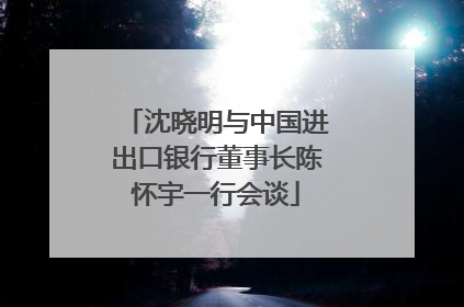 沈晓明与中国进出口银行董事长陈怀宇一行会谈