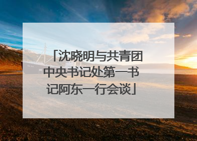 沈晓明与共青团中央书记处第一书记阿东一行会谈