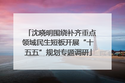 沈晓明围绕补齐重点领域民生短板开展“十五五”规划专题调研