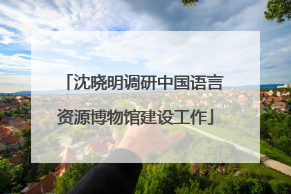 沈晓明调研中国语言资源博物馆建设工作