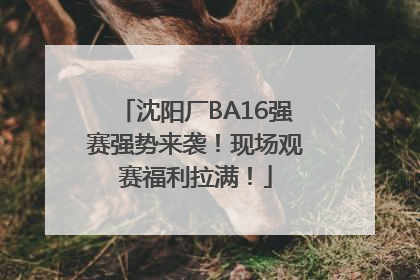 沈阳厂BA16强赛强势来袭！现场观赛福利拉满！