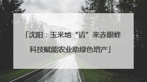沈阳：玉米地“请”来赤眼蜂 科技赋能农业助绿色增产