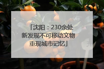 沈阳：230余处新发现不可移动文物重现城市记忆