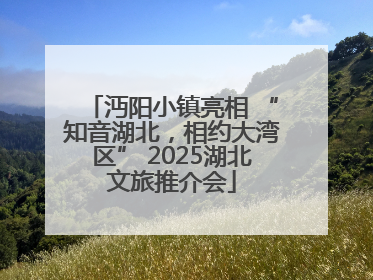 沔阳小镇亮相 “知音湖北，相约大湾区” 2025湖北文旅推介会
