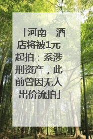 河南一酒店将被1元起拍：系涉刑资产，此前曾因无人出价流拍