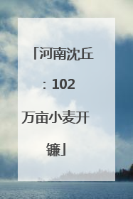 河南沈丘：102 万亩小麦开镰
