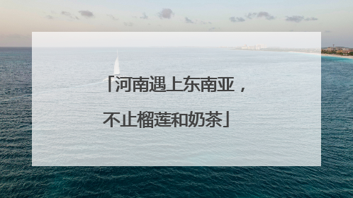河南遇上东南亚，不止榴莲和奶茶